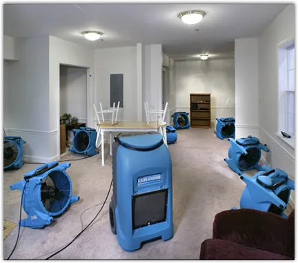 Water Mitigation Services in Washington, NC