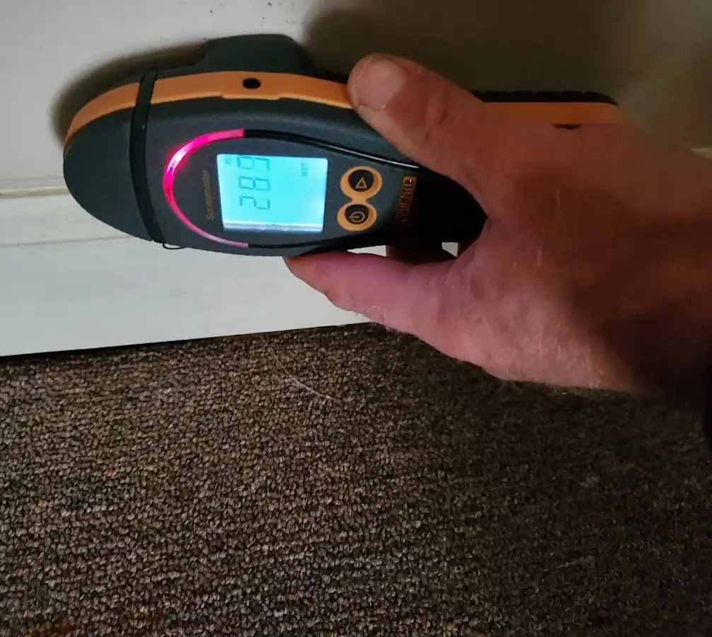 Moisture detection at baseboard during Sewage Cleanup & Sanitation in Washington